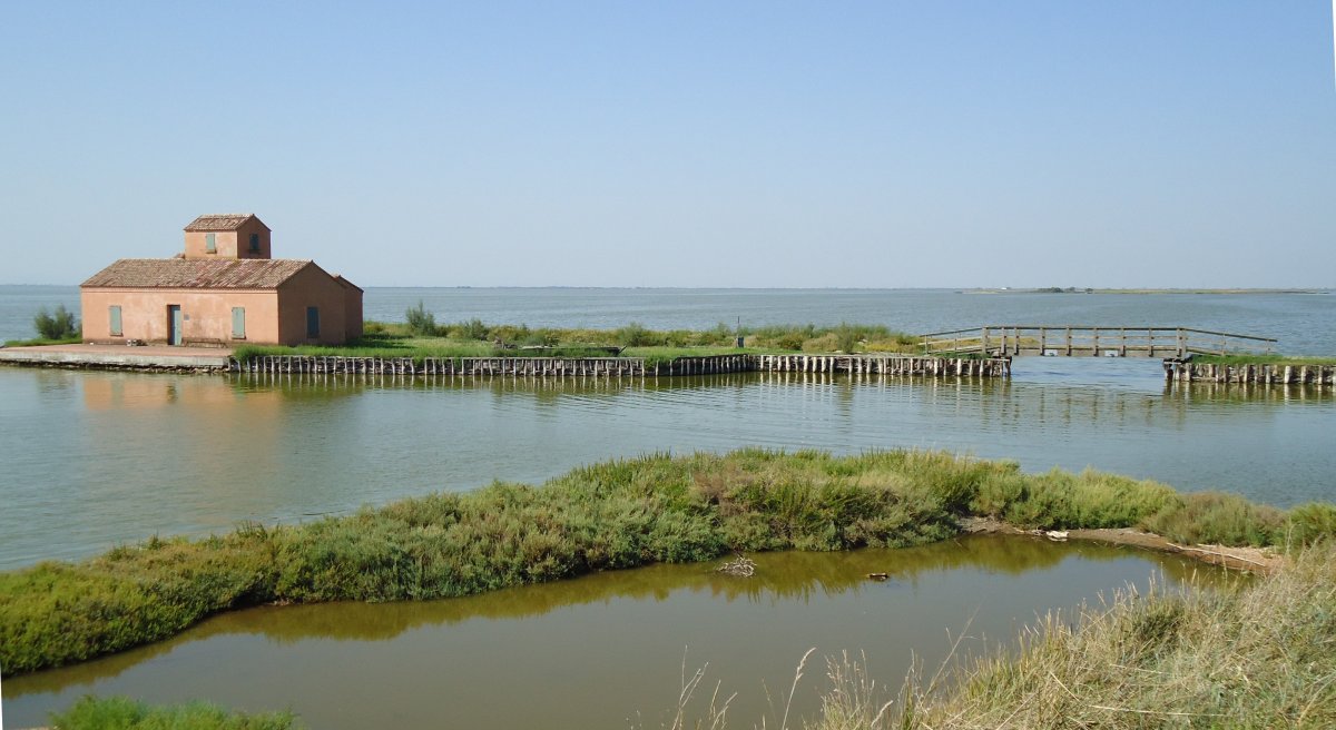 Valli di Comacchio 